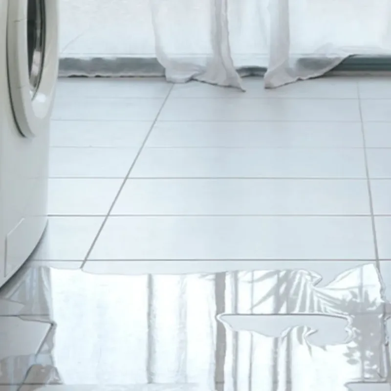 Appliance Leak Cleanup in Berryville, TX
