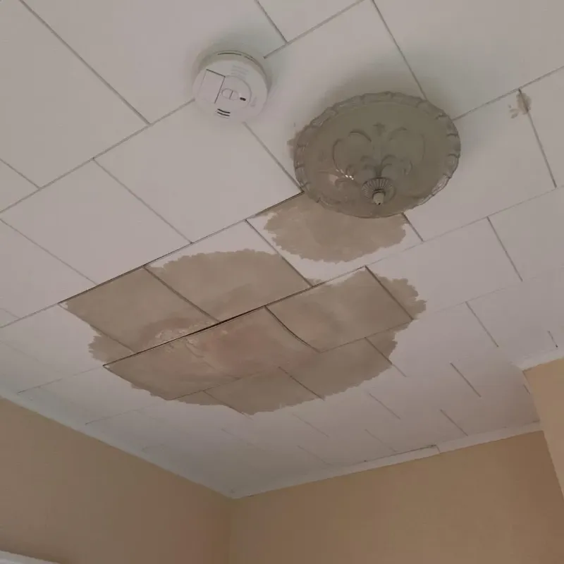 Ceiling Water Damage Repair in Berryville, TX