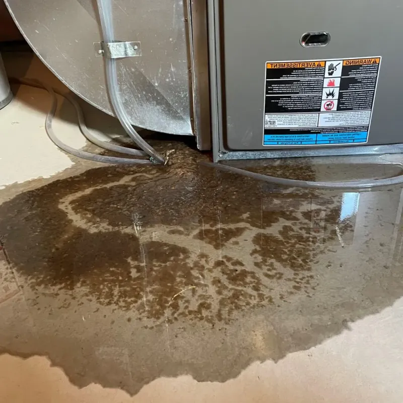 Pipe Burst and Leak Restoration in Berryville, TX