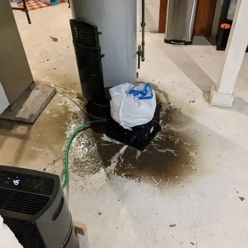 Sewage Backup Cleanup Service in Berryville, TX
